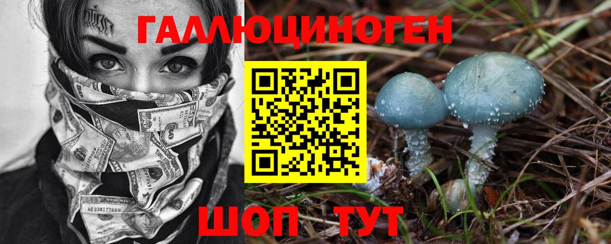 Псилоцибиновые грибы Cubensis  Вход с VPN  Галлюциногенные грибы мухоморы  Лосино-Петровский 