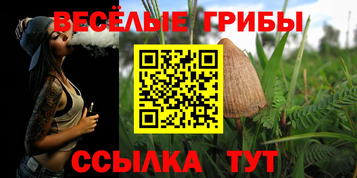 Псилоцибиновые грибы мицелий Лосино-Петровский